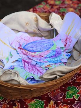 71523393_10157627507396064_7451693813891858432_o